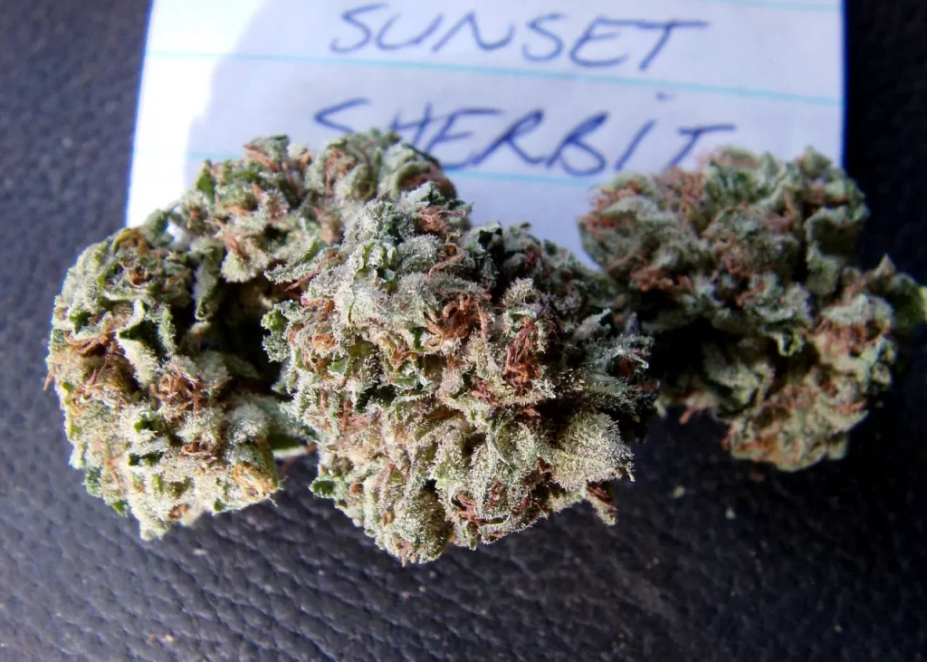 Where Can I Buy Weed in Germany